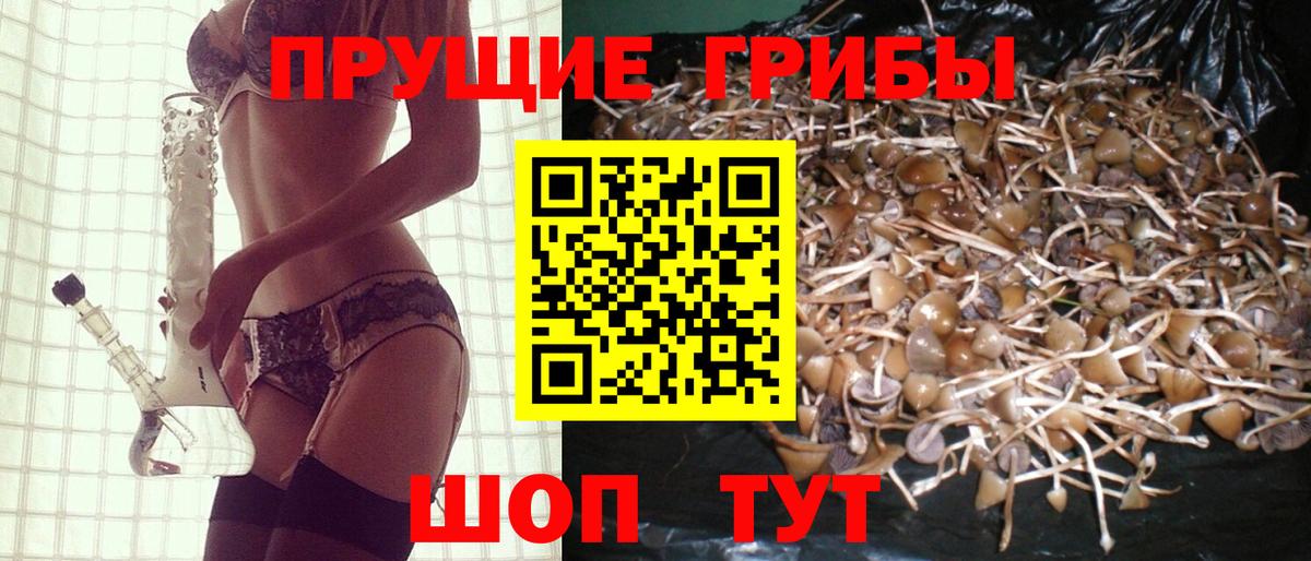 Галлюциногенные грибы Psilocybe  Псилоцибиновые грибы MAGIC MUSHROOMS  Вход с VPN  Новодвинск 