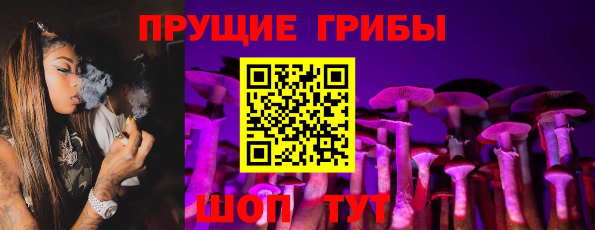 Галлюциногенные грибы прущие грибы Новодвинск